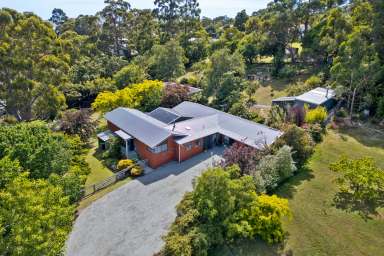 Farm For Sale - TAS - Lower Snug - 7054 - A serene haven with a long list of modern updates  (Image 2)