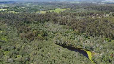 Farm For Sale - QLD - Bullyard - 4671 - 70.82 Acres of Undulated Bushland Bliss  (Image 2)