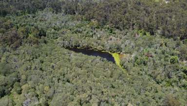 Farm For Sale - QLD - Bullyard - 4671 - 70.82 Acres of Undulated Bushland Bliss  (Image 2)