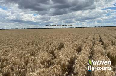 Farm Auction - QLD - Canaga - 4413 - Great Additional Farming with Mung Beans  (Image 2)