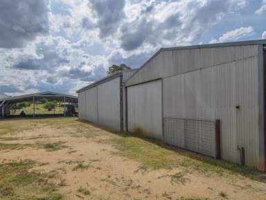 Farm For Sale - NSW - Young - 2594 - Kambah 33acs* On The Door Step Of Town With Subdivision Potential  (Image 2)