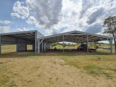 Farm For Sale - NSW - Young - 2594 - Kambah 33acs* On The Door Step Of Town With Subdivision Potential  (Image 2)