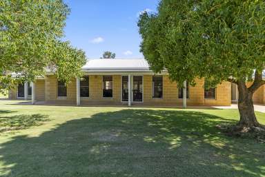 Farm For Sale - NSW - Barooga - 3644 - Experience Exceptional lifestyle living – Close to the Murray River  (Image 2)