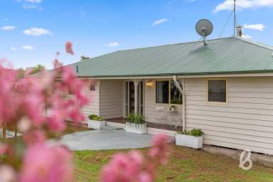 Farm For Sale - NSW - Singleton - 2330 - "BRAEVIEW" | COUNTRY ESCAPE  (Image 2)