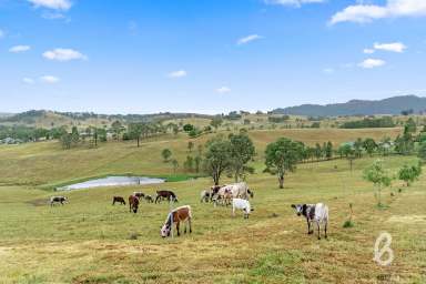 Farm For Sale - NSW - Singleton - 2330 - "BRAEVIEW" | COUNTRY ESCAPE  (Image 2)