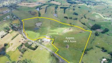 Farm For Sale - VIC - Mirboo North - 3871 - EXCEPTIONAL 108.5 ACRES ON THE EDGE OF TOWN!  (Image 2)