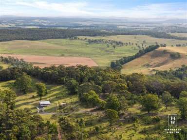 Farm For Sale - NSW - Canyonleigh - 2577 - Escape To The Country!  (Image 2)