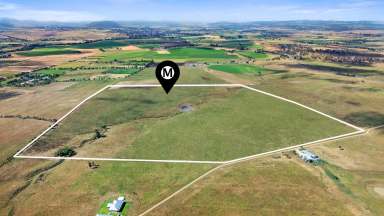 Farm Auction - NSW - Scone - 2337 - RARE VACANT 100AC WITH BUILDING ENTITLEMENT  (Image 2)