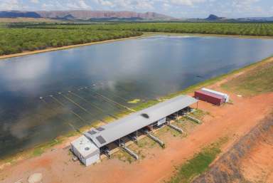 Farm For Sale - WA - Kununurra - 6743 - Elders is pleased to offer this exceptional 0pportunity for agricultural development in the sought-after East Kimberley / Ord River Region.  (Image 2)