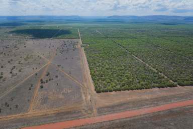 Farm For Sale - WA - Kununurra - 6743 - Elders is pleased to offer this exceptional 0pportunity for agricultural development in the sought-after East Kimberley / Ord River Region.  (Image 2)