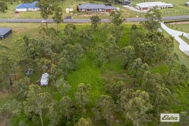 Farm For Sale - QLD - Rifle Range - 4311 - Motivated sellers - Get in quick.  (Image 2)