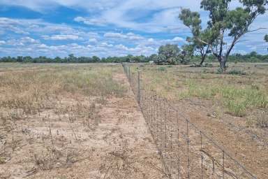 Farm For Sale - NSW - Brewarrina - 2839 - Absolute River Frontage  (Image 2)