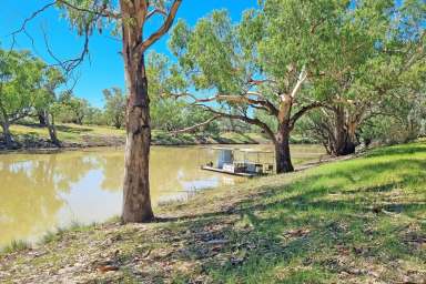 Farm For Sale - NSW - Brewarrina - 2839 - Absolute River Frontage  (Image 2)