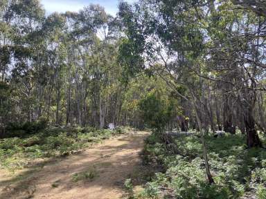 Farm For Sale - TAS - Dee - 7140 - Dee Lagoon - Central Highlands  (Image 2)