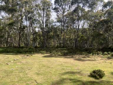 Farm For Sale - TAS - Dee - 7140 - Dee Lagoon - Central Highlands  (Image 2)