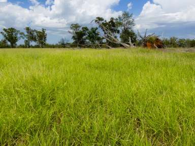 Farm For Sale - QLD - Surat - 4417 - Private Rural Grazing & Lifestyle Property  (Image 2)