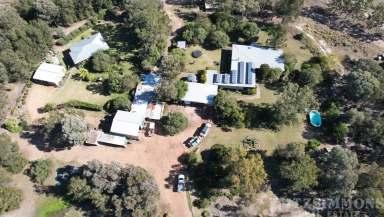 Farm For Sale - QLD - Ducklo - 4405 - "LINDEMAN"  (Image 2)