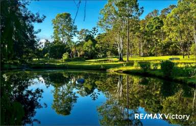 Farm For Sale - QLD - Morayfield - 4506 - *****Lifestyle Property on 2acres with a Massive Self contained Lined SHED*****  (Image 2)