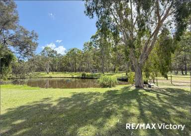 Farm For Sale - QLD - Morayfield - 4506 - *****Lifestyle Property on 2acres with a Massive Self contained Lined SHED*****  (Image 2)