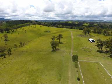 Farm For Sale - NSW - Bonalbo - 2469 - YOU CAN HAVE IT ALL  (Image 2)