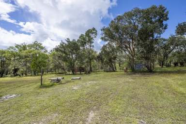 Farm For Sale - NSW - Whiteman Creek - 2460 - 125 ACRES WITH WHITEMAN CREEK FRONTAGE  (Image 2)