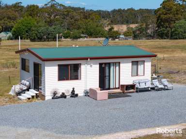 Farm Sold - TAS - Beaconsfield - 7270 - Paint Your Future  (Image 2)