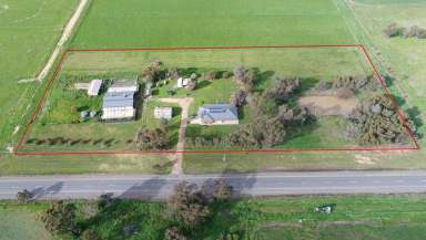 Farm For Sale - VIC - Waaia - 3637 - DOG BOARDING FACILITY - NORTHERN VIC  (Image 2)