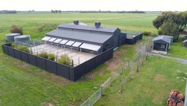 Farm For Sale - VIC - Waaia - 3637 - DOG BOARDING FACILITY - NORTHERN VIC  (Image 2)