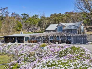 Farm For Sale - TAS - Swansea - 7190 - Business & Freehold - Kate's Berry Farm  (Image 2)