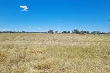 Farm For Sale - NSW - Brewarrina - 2839 - Bre Lucerne Farm - Acreage close to town  (Image 2)