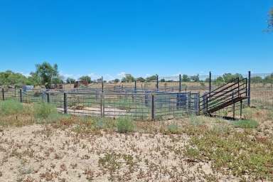 Farm For Sale - NSW - Brewarrina - 2839 - Bre Lucerne Farm - Acreage close to town  (Image 2)