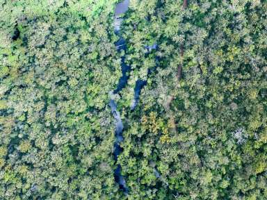 Farm For Sale - NSW - Mororo - 2469 - UNTOUCHED PRISTINE WILDERNESS  (Image 2)