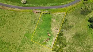 Farm For Sale - NSW - Dorrigo - 2453 - 4274*sqm residential block with gorgeous northerly aspect  (Image 2)