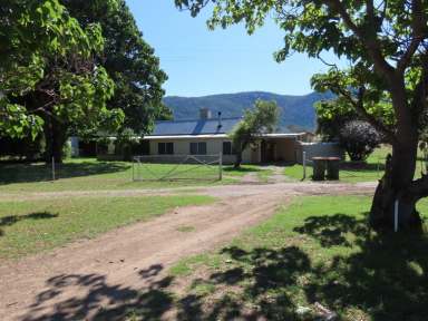 Farm For Sale - NSW - Tamworth - 2340 - Peaceful Paradise on Acres  (Image 2)