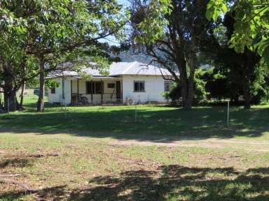 Farm For Sale - NSW - Tamworth - 2340 - Peaceful Paradise on Acres  (Image 2)