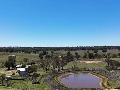 Farm For Sale - NSW - Ulamambri - 2357 - Exceptional Grazing Property with Dual Residences and Established Infrastructure  (Image 2)