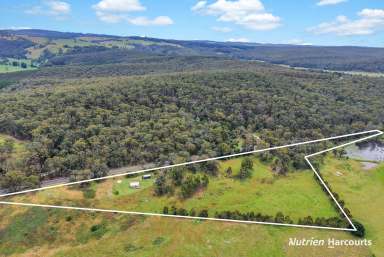 Farm For Sale - VIC - Won Wron - 3971 - Off-Grid Rural Escape on 11 Acres  (Image 2)