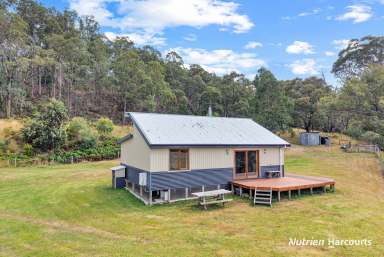 Farm For Sale - VIC - Won Wron - 3971 - Off-Grid Rural Escape on 11 Acres  (Image 2)