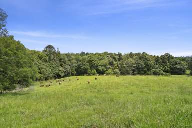 Farm For Sale - QLD - Dulong - 4560 - 12Ha Hidden Oasis with Waterfalls and Dual Building Sites!  (Image 2)