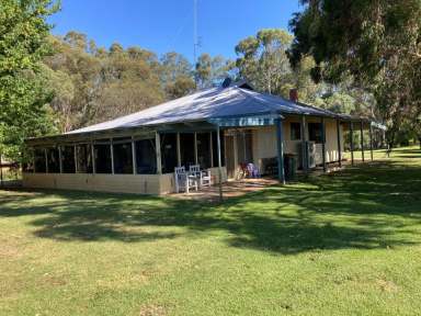 Farm For Sale - VIC - Gunbower - 3566 - SUNSET HILL 
16.49 hectare (40.75 acres) – Upper Gunbower Creek Frontage  (Image 2)