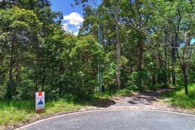 Farm For Sale - QLD - Doonan - 4562 - Tranquil 5.2 Acres Paradise in the  Sunshine Coast Hinterland  (Image 2)