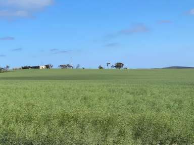 Farm Sold - SA - Butler - 5605 - Balannie  (Image 2)