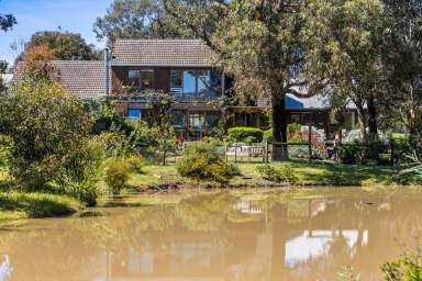 Farm For Sale - VIC - Bellbrae - 3228 - Country Living on the Surf Coast  (Image 2)