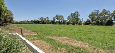 Farm For Sale - VIC - Yarroweyah - 3644 - Quality Farming Opportunity in Prime Location  (Image 2)