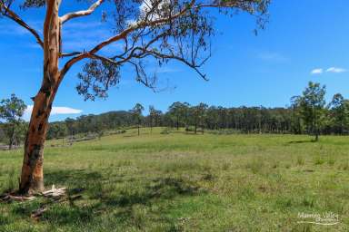 Farm For Sale - NSW - Krambach - 2429 - A Piece of Paradise!  (Image 2)