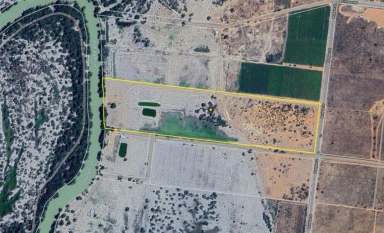 Farm For Sale - NSW - Menindee - 2879 - Riverside Retreat with Endless Possibilities  (Image 2)