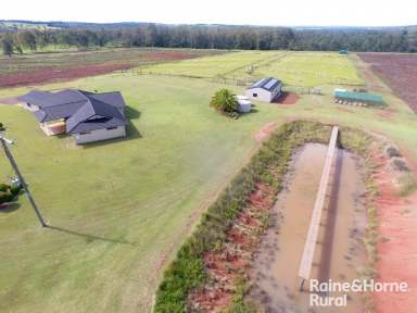 Farm For Sale - QLD - Inverlaw - 4610 - Executive Home on 80 Fertile Acres.  (Image 2)