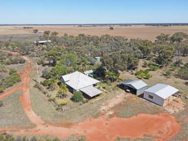 Farm For Sale - VIC - Quambatook - 3540 - Rural Lifestyle Property with 36 acres  (Image 2)