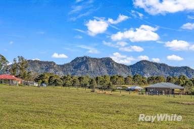 Farm For Sale - NSW - Gloucester - 2422 - Got your dream home planned? We have the dream block to match.  (Image 2)