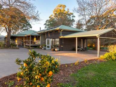 Farm For Sale - NSW - Tarraganda - 2550 - INCREDIBLE PROPERTY, STUNNING LOCATION!  (Image 2)